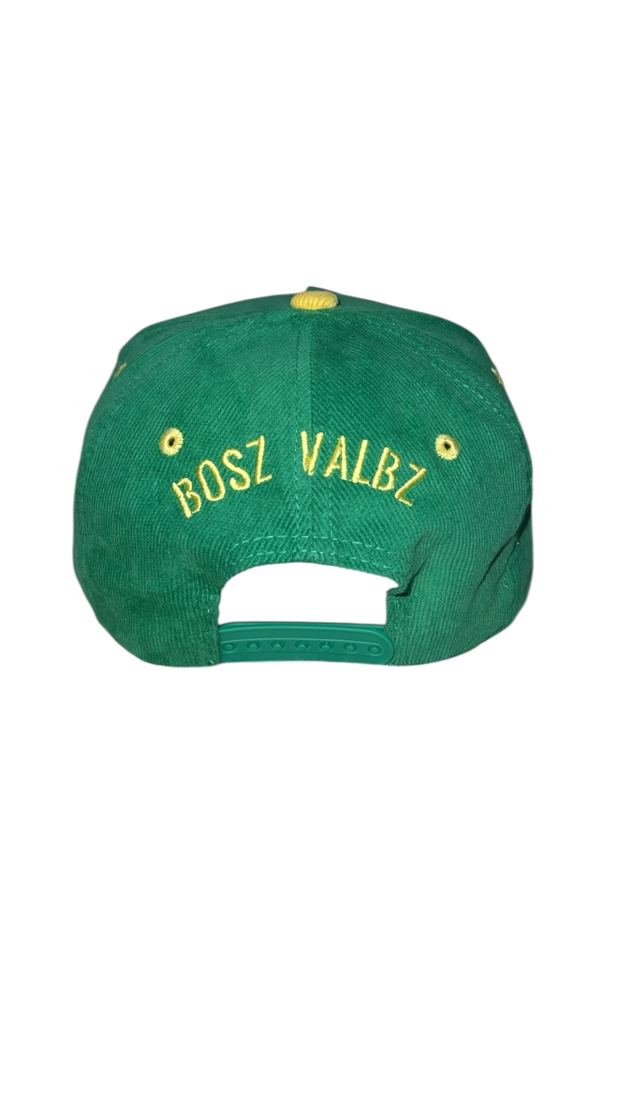 BoszVaibz embroidered logo corduroy hat