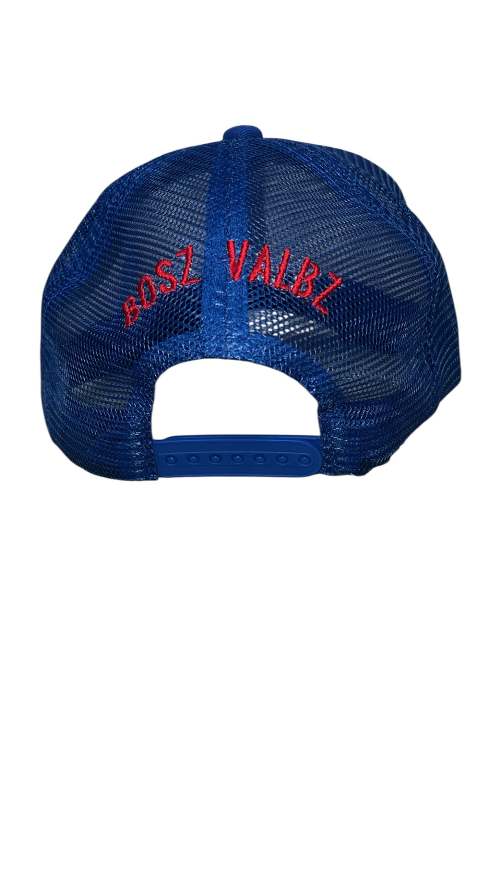 BoszVaibz embroidered trucker hat