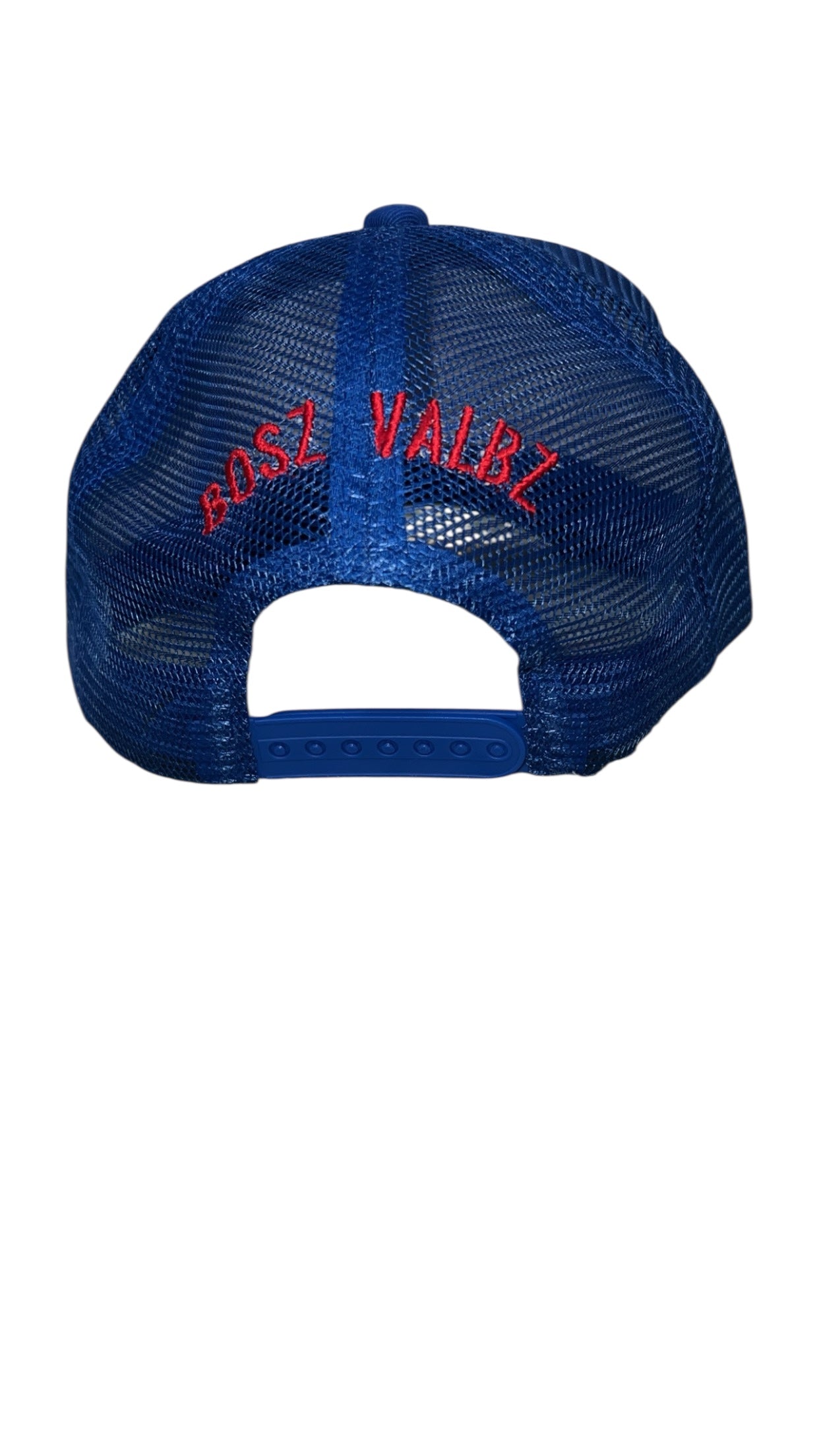 BoszVaibz embroidered trucker hat